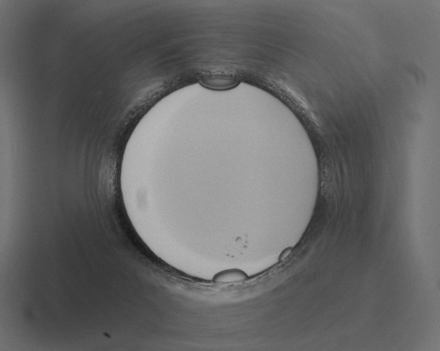 X0000116300023200912291440