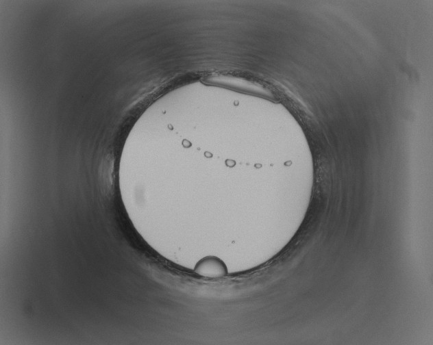 X0000116300024200912291440