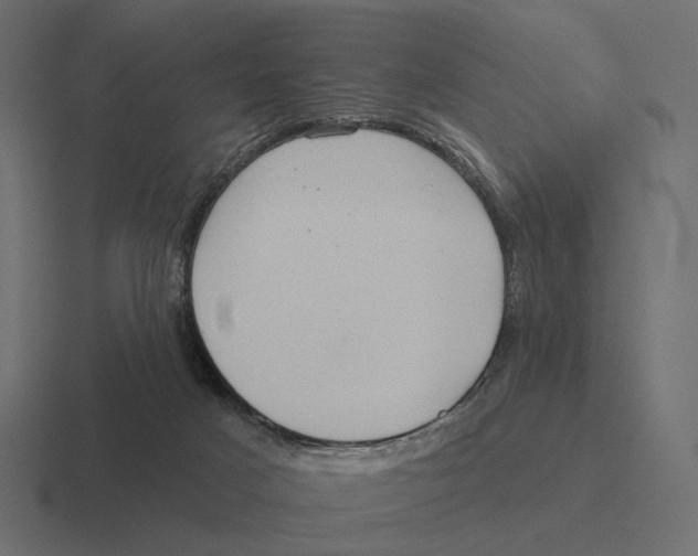 X0000116300025200912291440