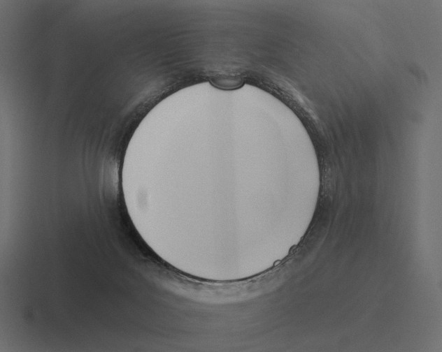 X0000116300027200912291440