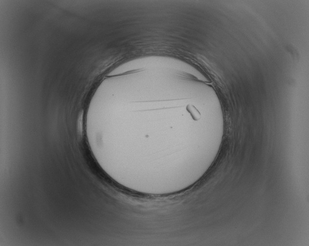 X0000116300028200912291440