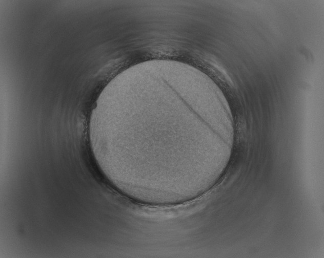 X0000116300029200912291440