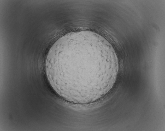 X0000116300030200912291440