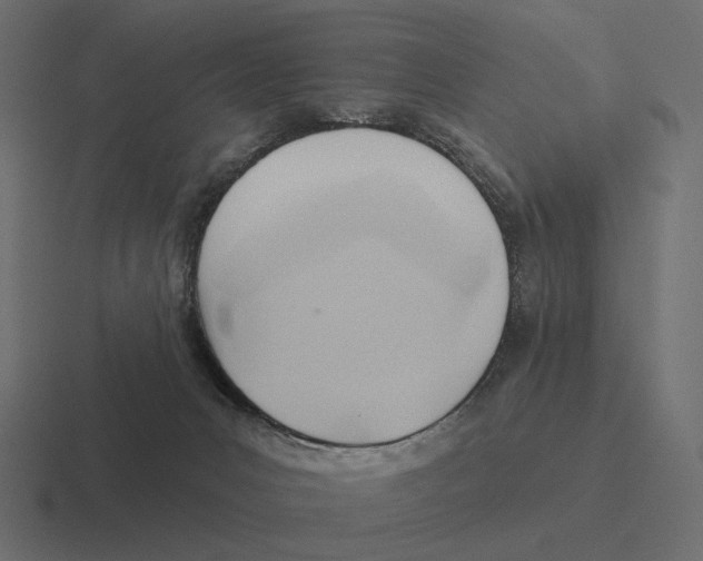 X0000116300031200912291440