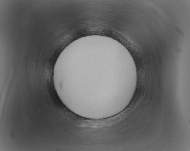 X0000116300033200912291440