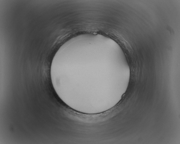 X0000116300035200912291440