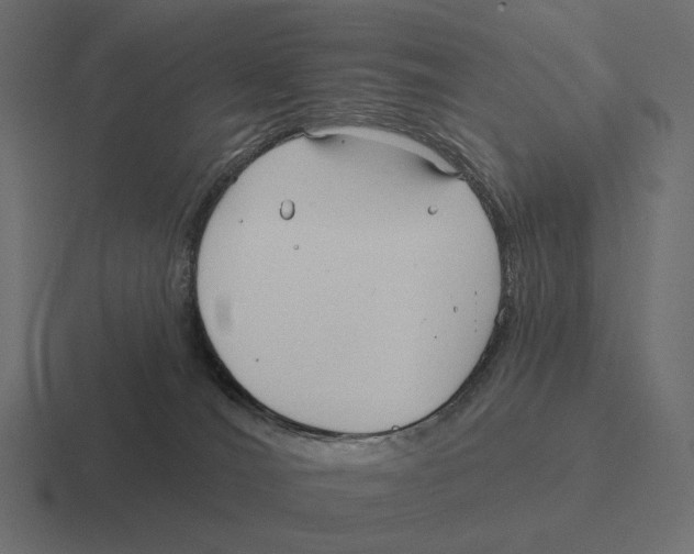 X0000116300036200912291440