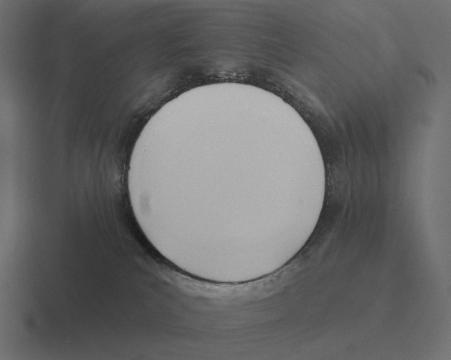 X0000116300039200912291440