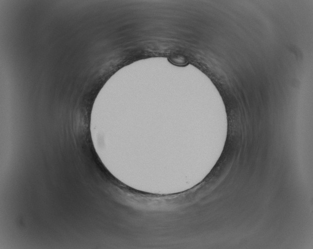 X0000116300040200912291440