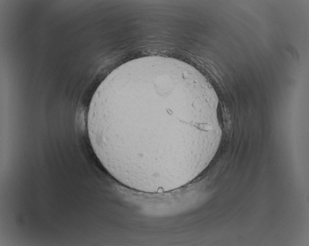 X0000116300042200912291440