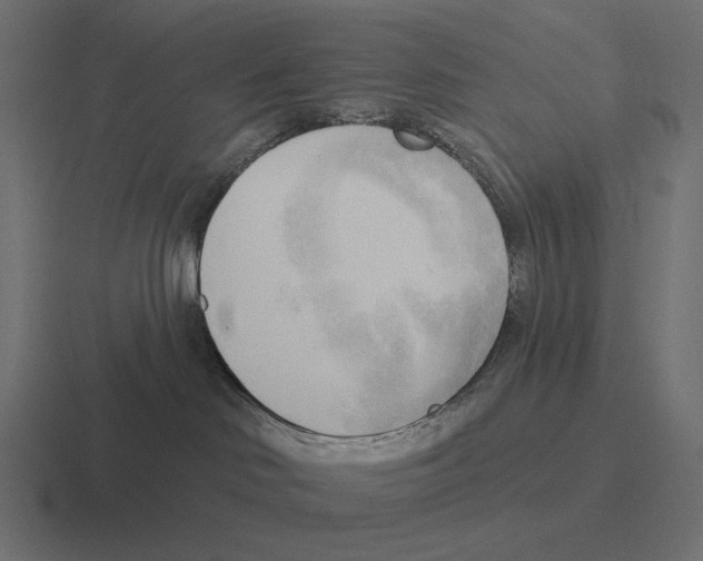 X0000116300046200912291440