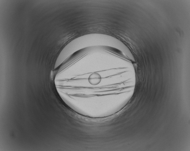 X0000116300047200912291440