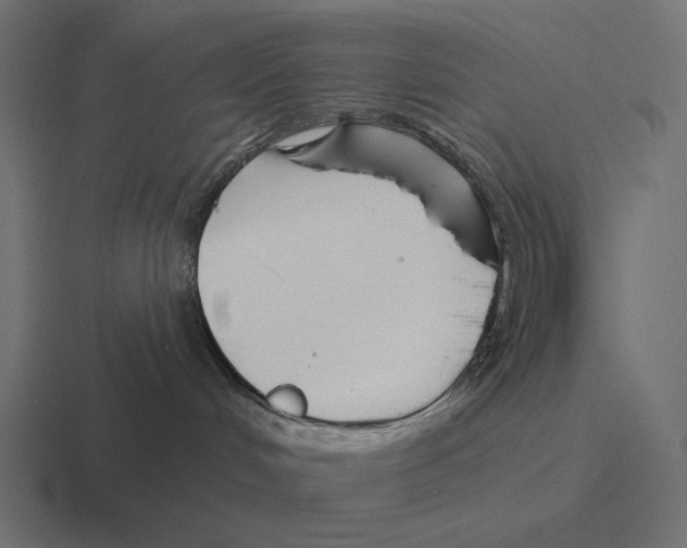 X0000116300048200912291440