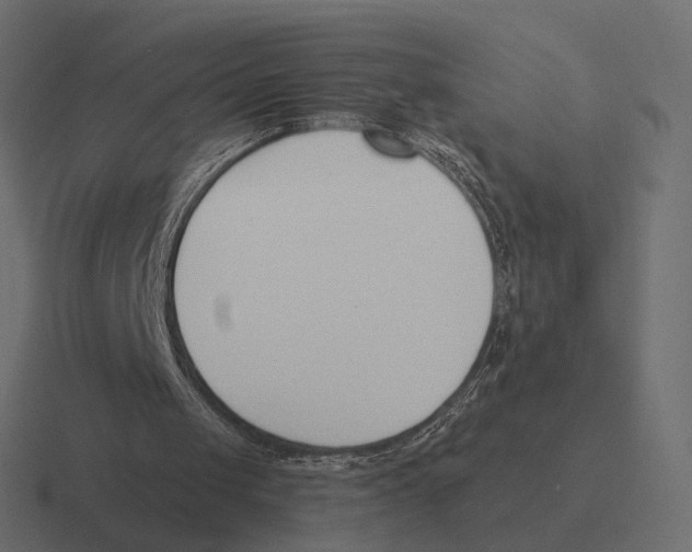 X0000116300049200912291439