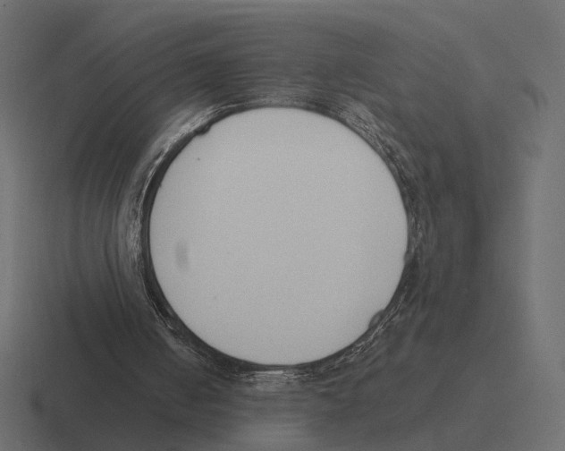 X0000116300050200912291439