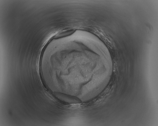 X0000116300052200912291439