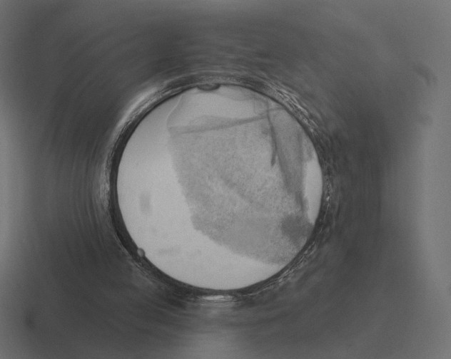 X0000116300053200912291439