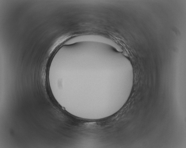 X0000116300054200912291439