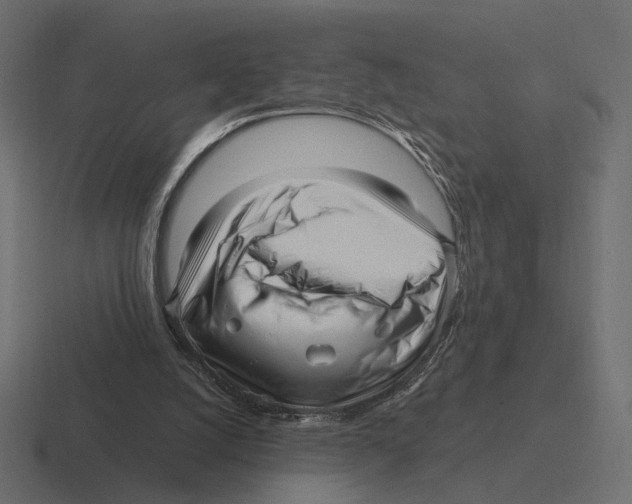 X0000116300056200912291439