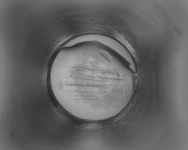 X0000116300058200912291440