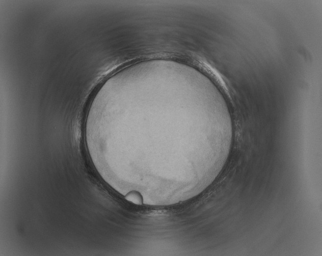 X0000116300059200912291440