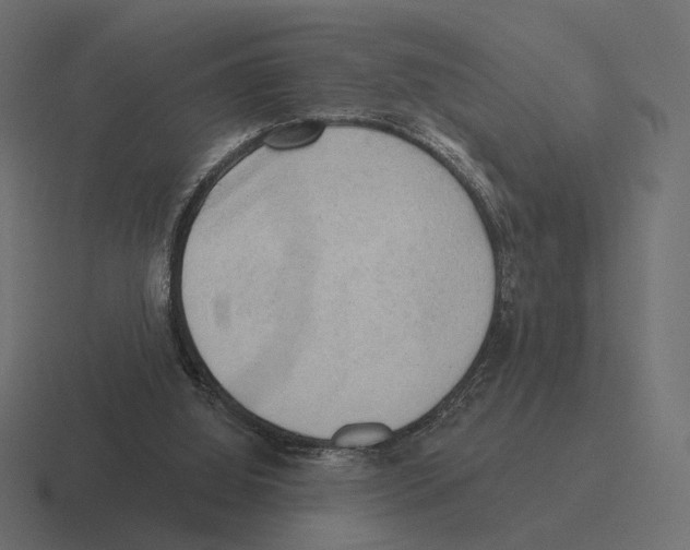 X0000116300060200912291440