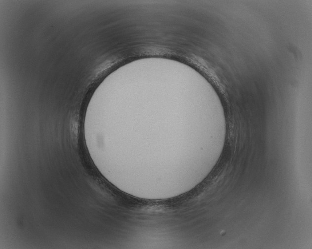 X0000116300063200912291440