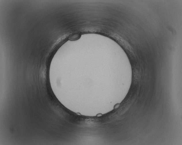 X0000116300064200912291440