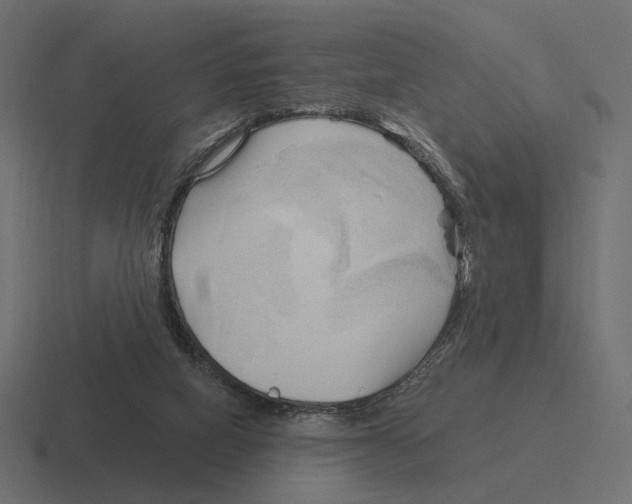 X0000116300066200912291440