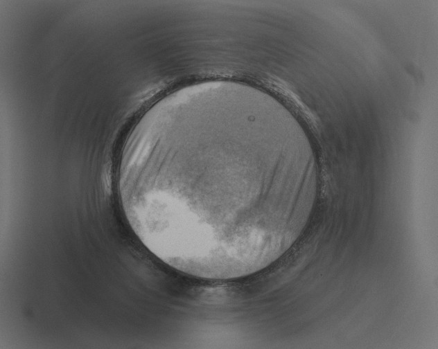 X0000116300068200912291440