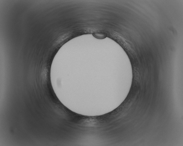 X0000116300071200912291440