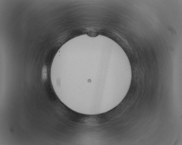 X0000116300075200912291440