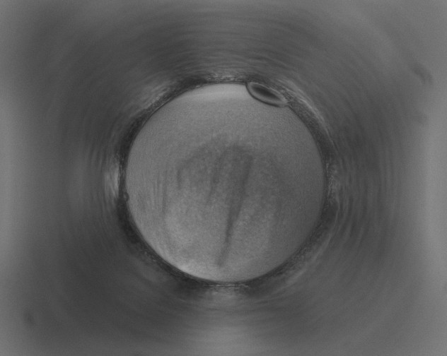 X0000116300076200912291440