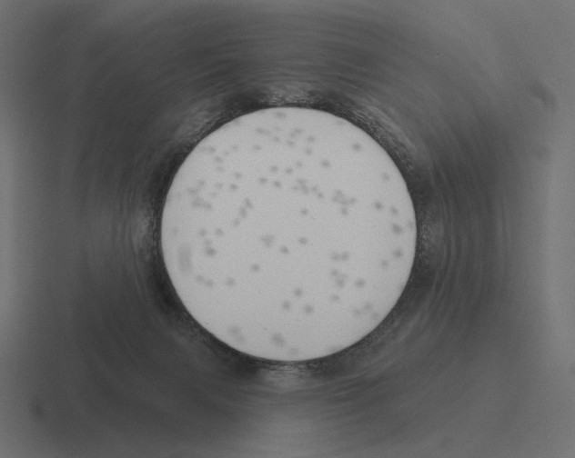 X0000116300079200912291440