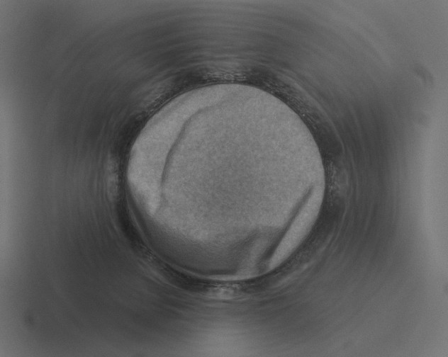 X0000116300080200912291440