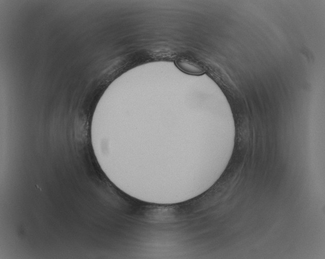 X0000116300081200912291440