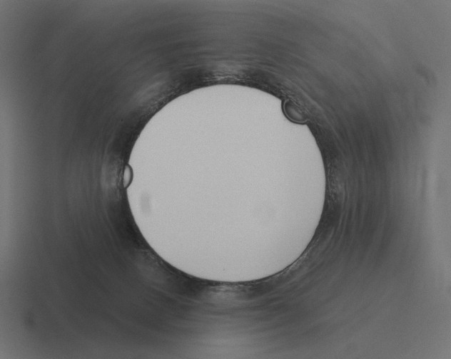 X0000116300082200912291440