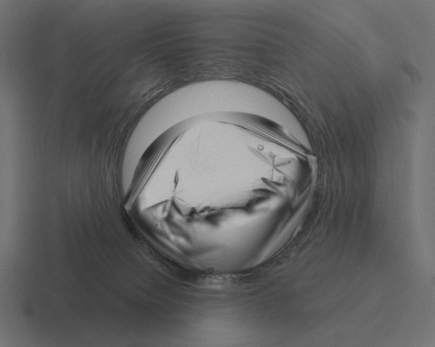 X0000116300084200912291440