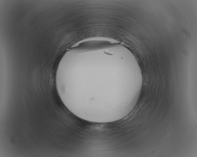 X0000116300086200912291440