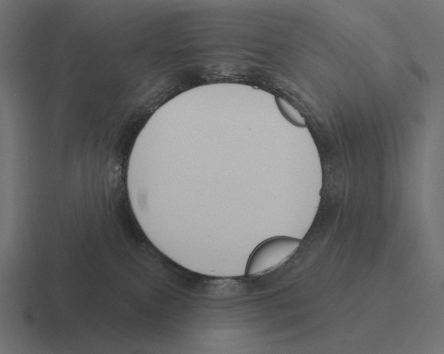 X0000116300087200912291440