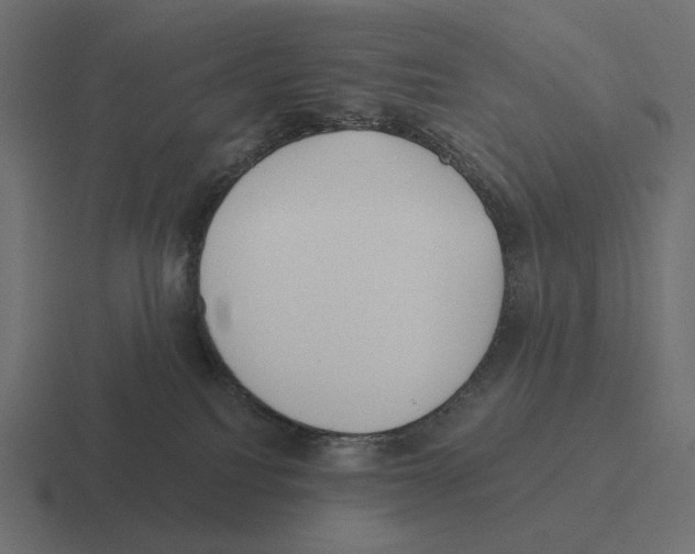 X0000116300088200912291440