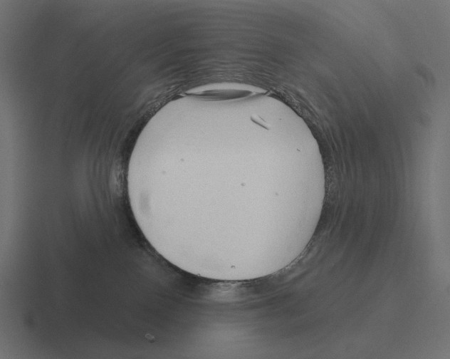 X0000116300090200912291440