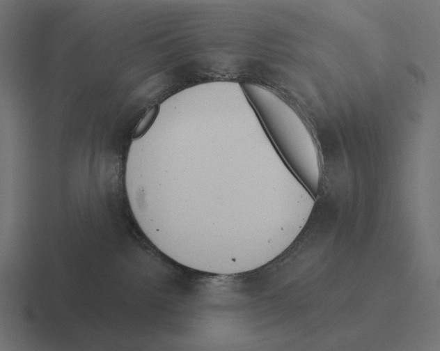 X0000116300092200912291440