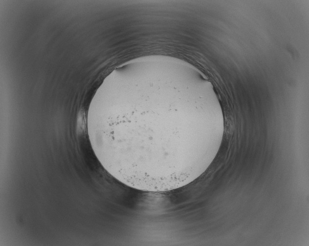 X0000116300095200912291440