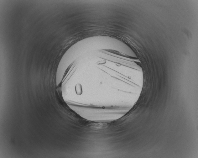 X0000116300096200912291440