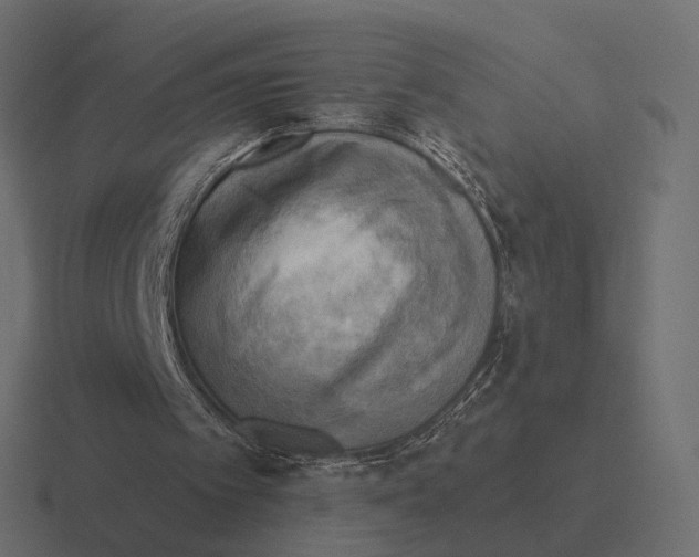 X0000116300097200912291439