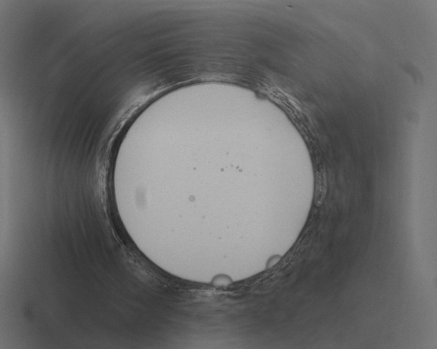 X0000116300098200912291439