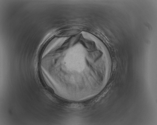 X0000116300101200912291439