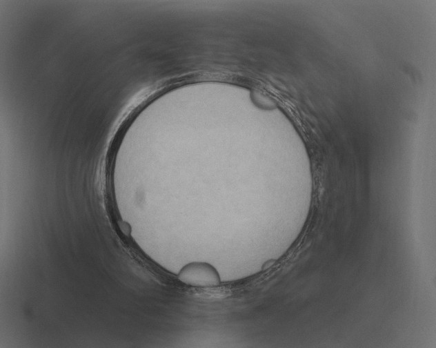 X0000116300102200912291439