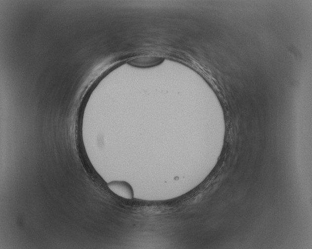 X0000116300103200912291439